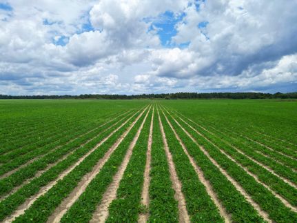 Property for sale in Gadsden County, Florida