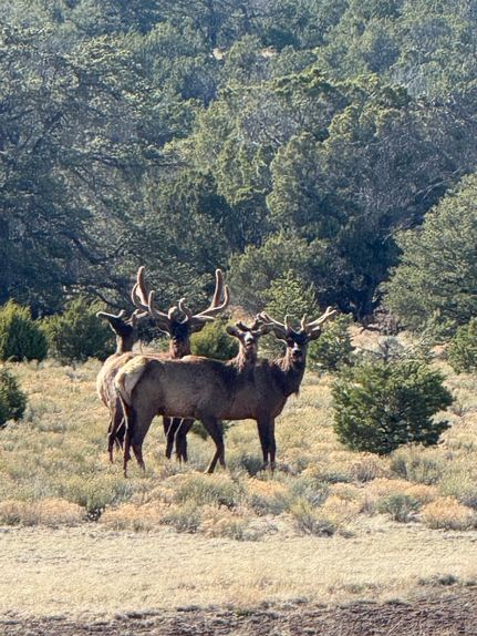 Property for sale in Cibola County, New Mexico