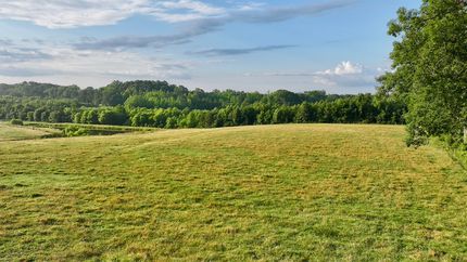 Property for sale in Warren County, North Carolina