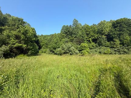 Hunting Land for sale in Magoffin County, Kentucky