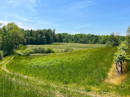 Property in Chautauqua County, New York