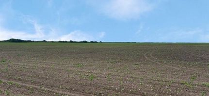 Property for sale in Nueces County, Texas