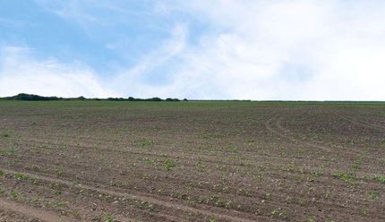 Property for sale in Nueces County, Texas