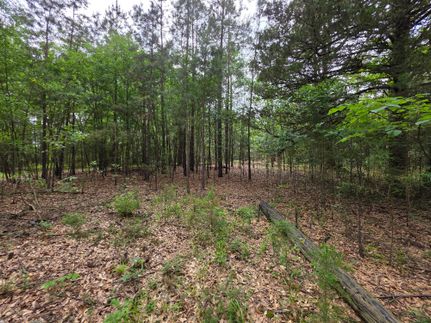 Property for sale in Polk County, Arkansas