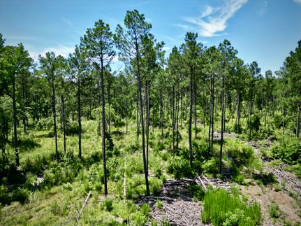 Property for sale in Union Parish, Louisiana