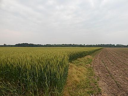 Property in Monroe County, Michigan