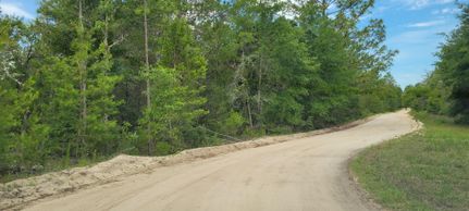Property in Putnam County, Florida