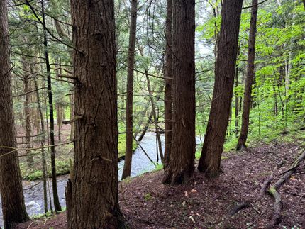 Recreational Property for sale in Chenango County, New York