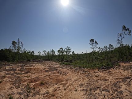 Property for sale in Prentiss County, Mississippi