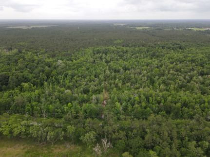 Property in Jasper County, Texas