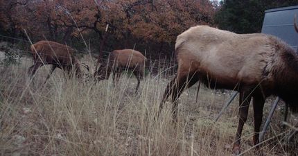 Recreational Property for sale in Real County, Texas