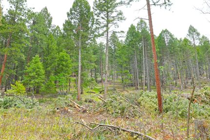 Property for sale in Douglas County, Colorado