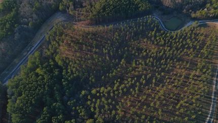 Undeveloped Land for sale in Cherokee County, Alabama