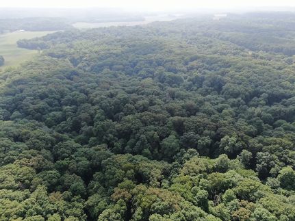 Property for sale in Coles County, Illinois