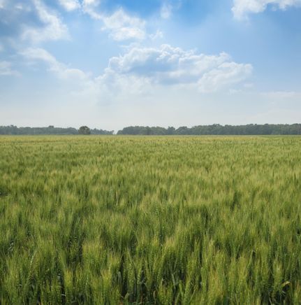 Property in Cass County, North Dakota