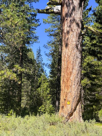 Undeveloped Land for sale in Klamath County, Oregon