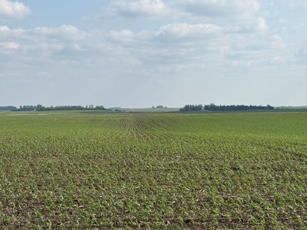 Property in Nobles County, Minnesota