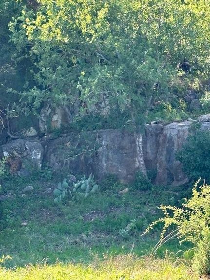 Farm Property for sale in San Saba County, Texas