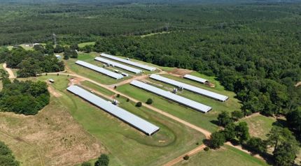 Property for sale in Union Parish, Louisiana