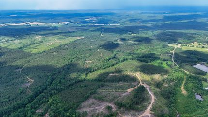 Property for sale in Webster County, Mississippi