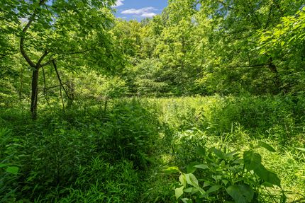 Property in Sullivan County, Tennessee