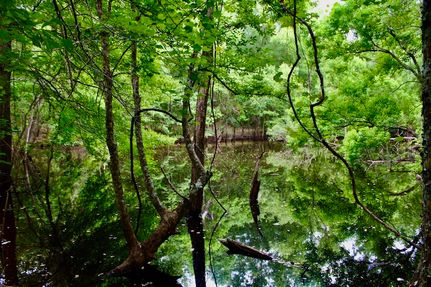 Property in Walthall County, Mississippi