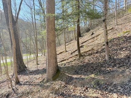 Property in Jefferson County, Ohio