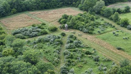 Property for sale in Peoria County, Illinois