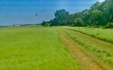 Property for sale in Eastland County, Texas