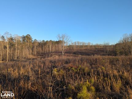 Property in Oglethorpe County, Georgia