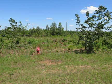 Property for sale in Schley County, Georgia