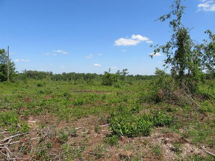 Residential Property for sale in Schley County, Georgia