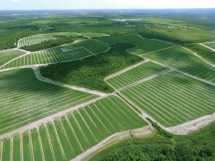 Property for sale in Manatee County, Florida