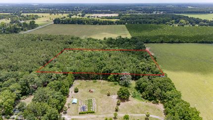 Undeveloped Land for sale in Gilchrist County, Florida