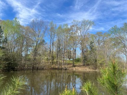 Undeveloped Land for sale in Bullock County, Alabama