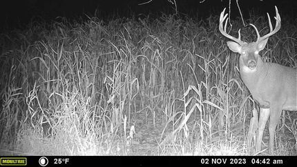 Property in Vernon County, Wisconsin