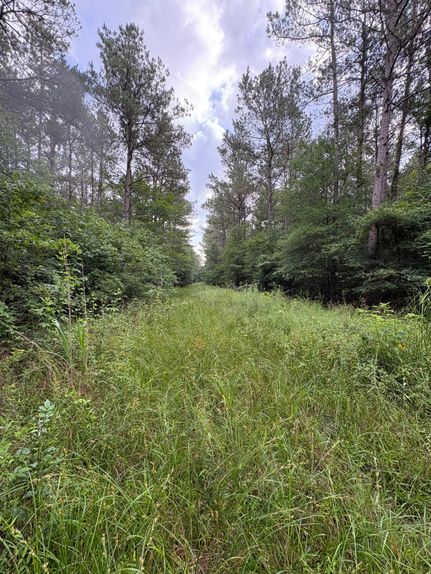 Property in Ouachita Parish, Louisiana