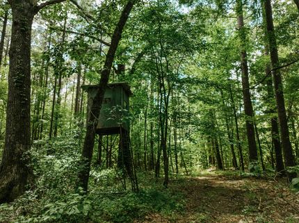 Property for sale in Drew County, Arkansas