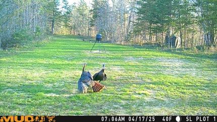 Property for sale in Sequatchie County, Tennessee