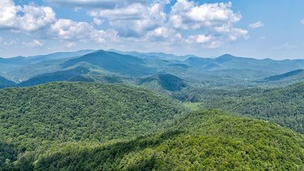 Hunting Land for sale in Towns County, Georgia