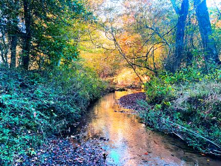 Hunting Land for sale in Greenville County, South Carolina