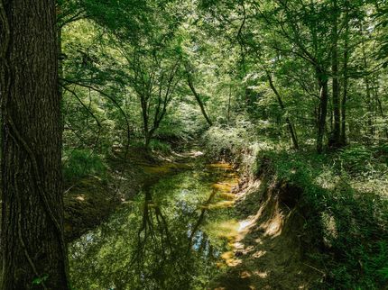 Property for sale in Drew County, Arkansas