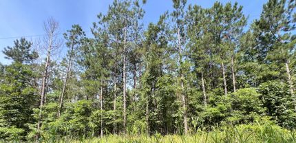Timberland Property for sale in McCurtain County, Oklahoma