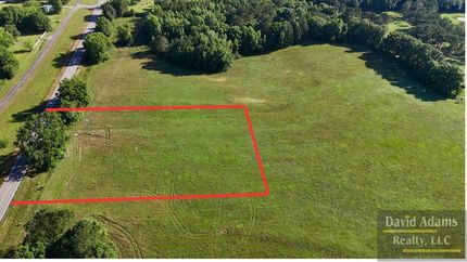 Undeveloped Land for sale in Dale County, Alabama