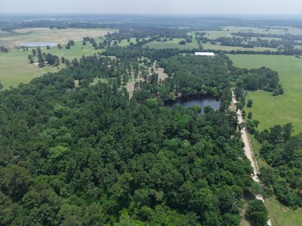 Hunting Land for sale in Montgomery County, Texas