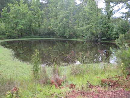Property in Newton County, Mississippi