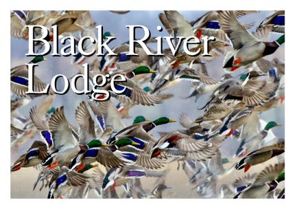 Riverfront Property for sale in Independence County, Arkansas