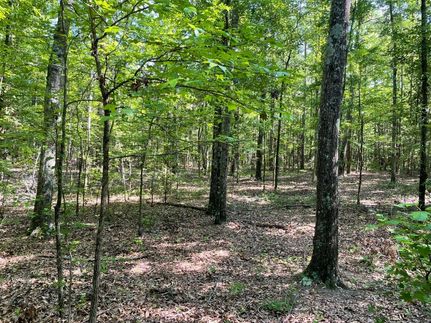 Property in Anderson County, South Carolina