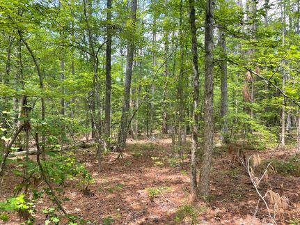 Undeveloped Land for sale in Anderson County, South Carolina