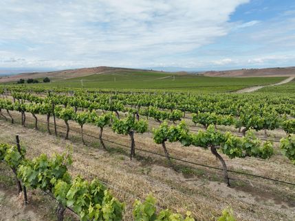 Property in Yakima County, Washington